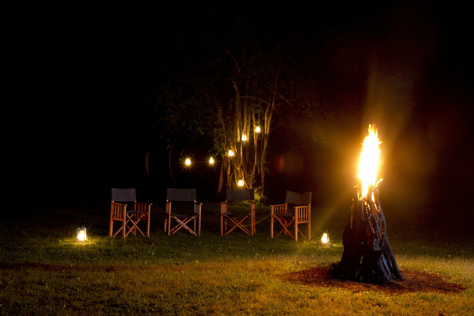 Mahoora Tented Safari Camp اوداوالاوي المظهر الخارجي الصورة