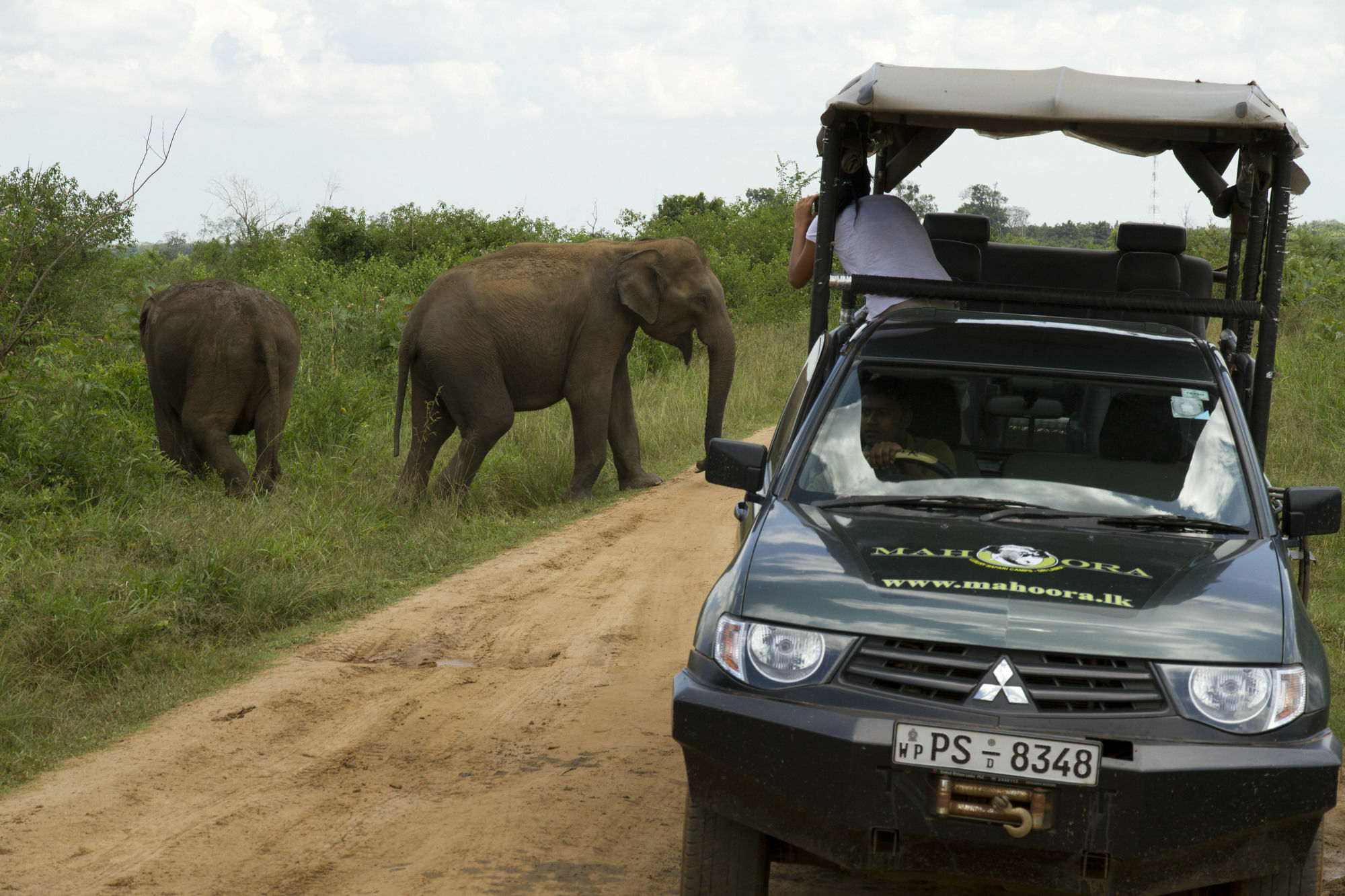 Mahoora Tented Safari Camp اوداوالاوي المظهر الخارجي الصورة