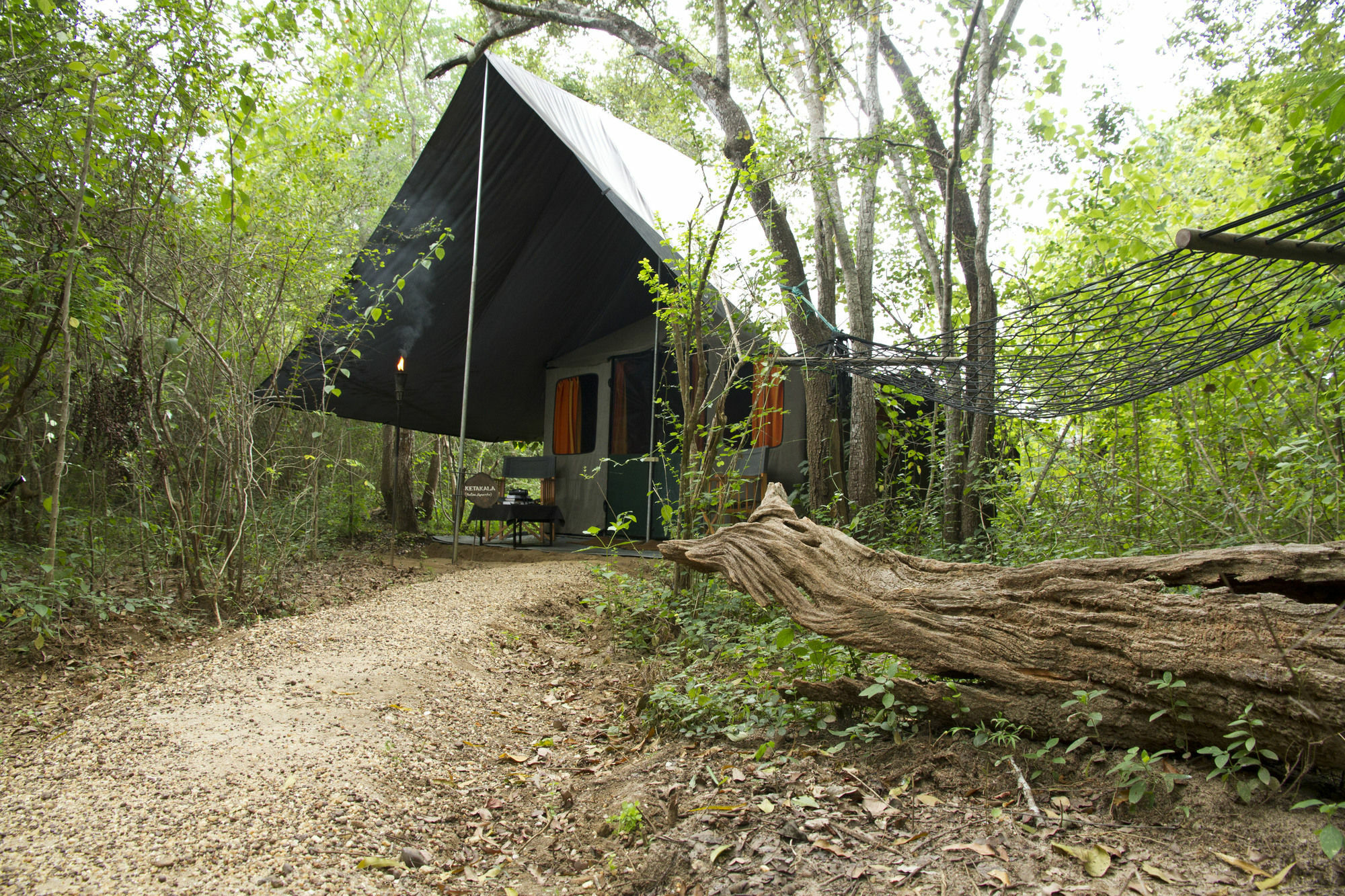 Mahoora Tented Safari Camp اوداوالاوي المظهر الخارجي الصورة