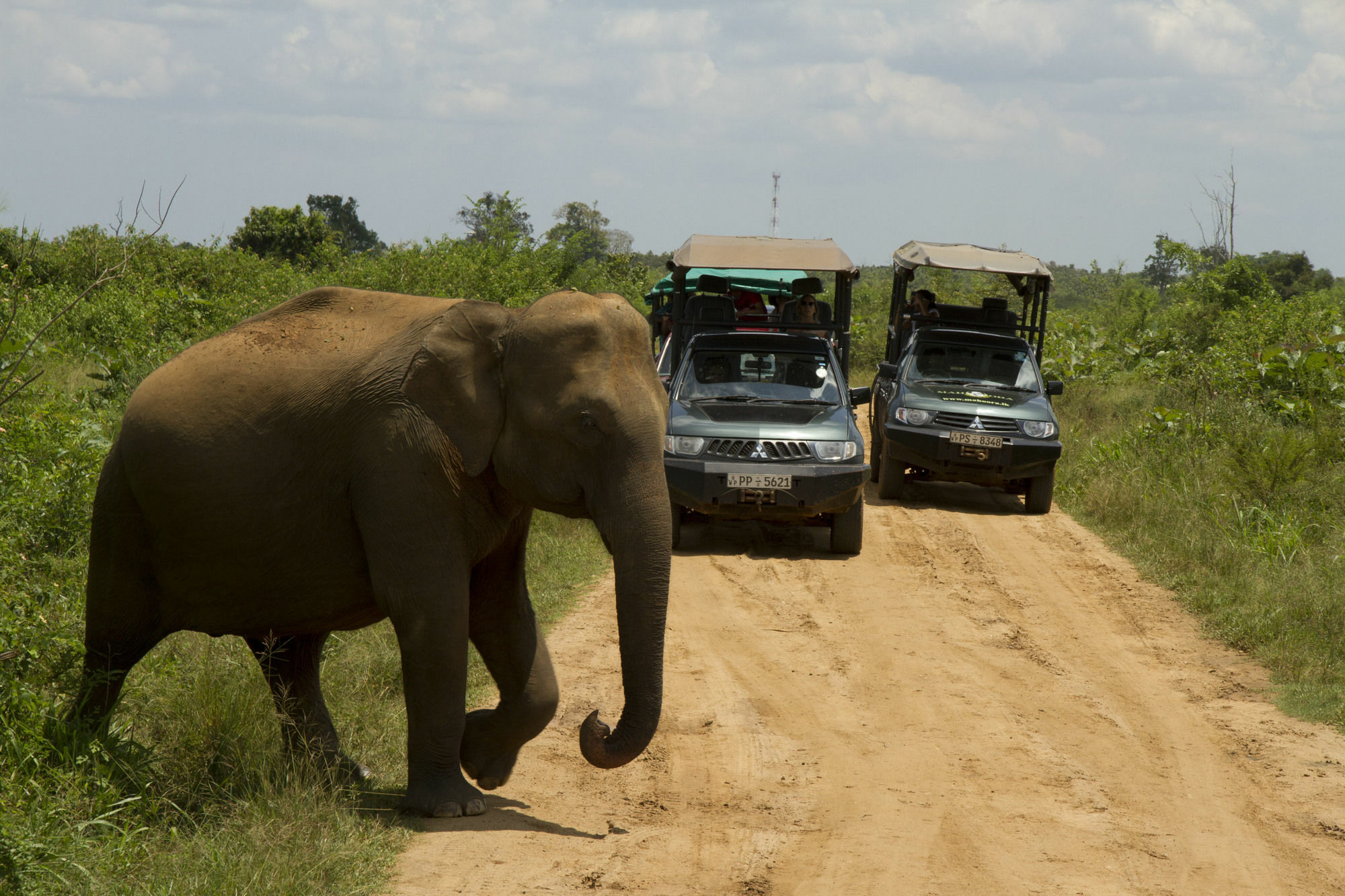 Mahoora Tented Safari Camp اوداوالاوي المظهر الخارجي الصورة